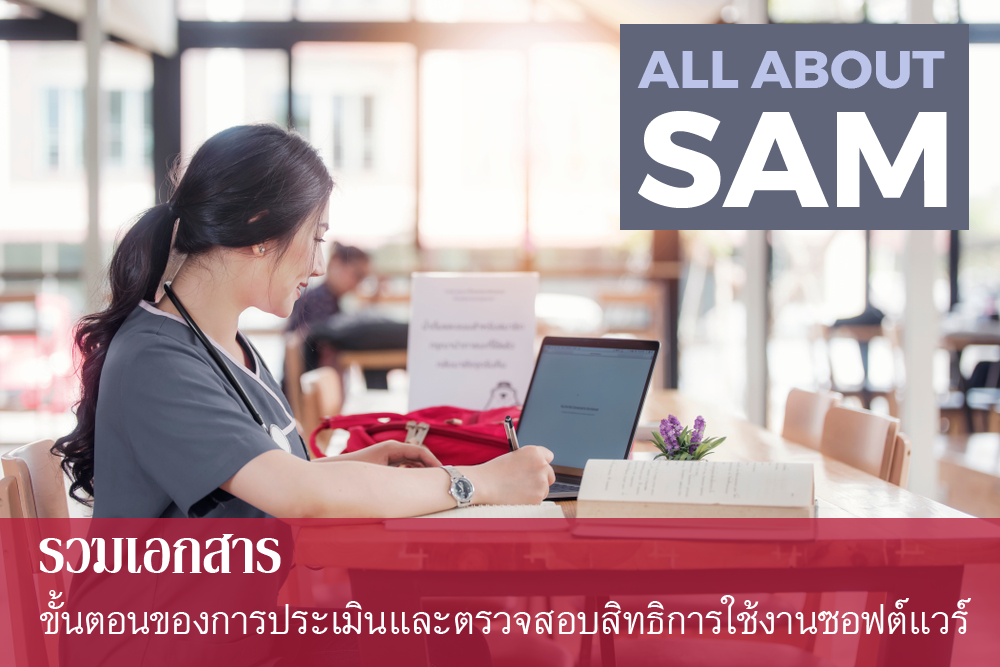 all_about_SAM.png