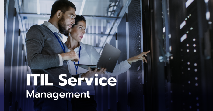 Managed Server Service